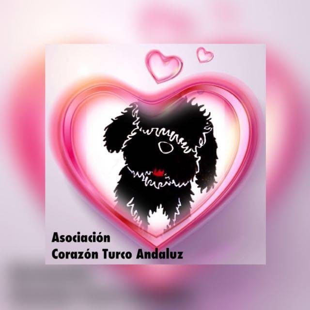 img principal ADOPTA Sitios Pet Friendly