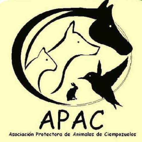 img principal ADOPTA Sitios Pet Friendly