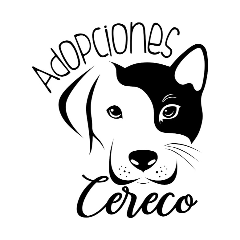 img principal ADOPTA Sitios Pet Friendly