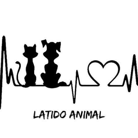 img principal ADOPTA Sitios Pet Friendly