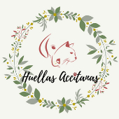 img principal ADOPTA Sitios Pet Friendly