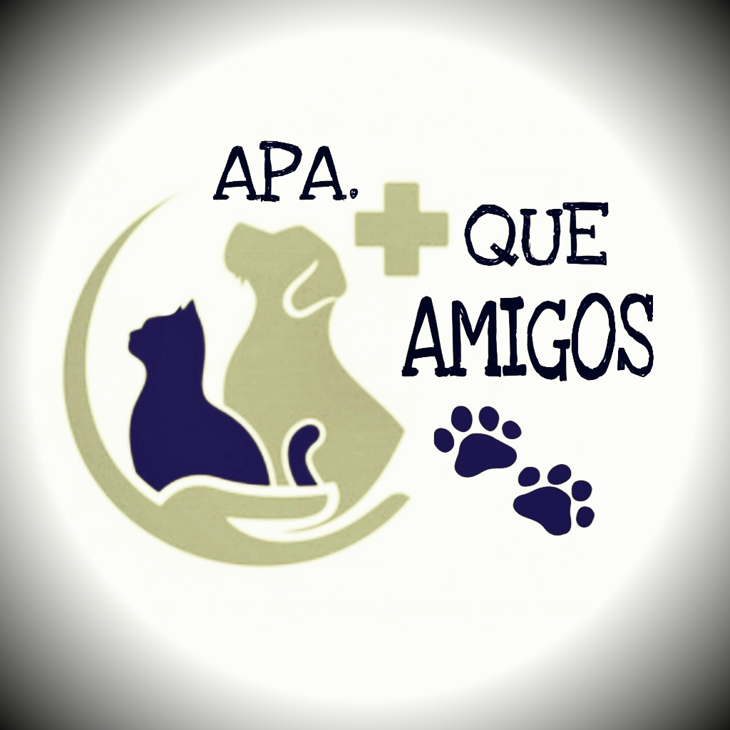 img principal ADOPTA Sitios Pet Friendly