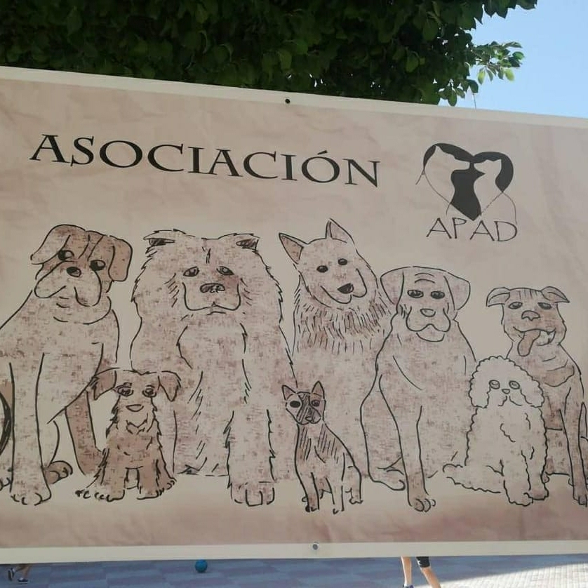 img principal ADOPTA Sitios Pet Friendly