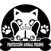 img principal ADOPTA Sitios Pet Friendly