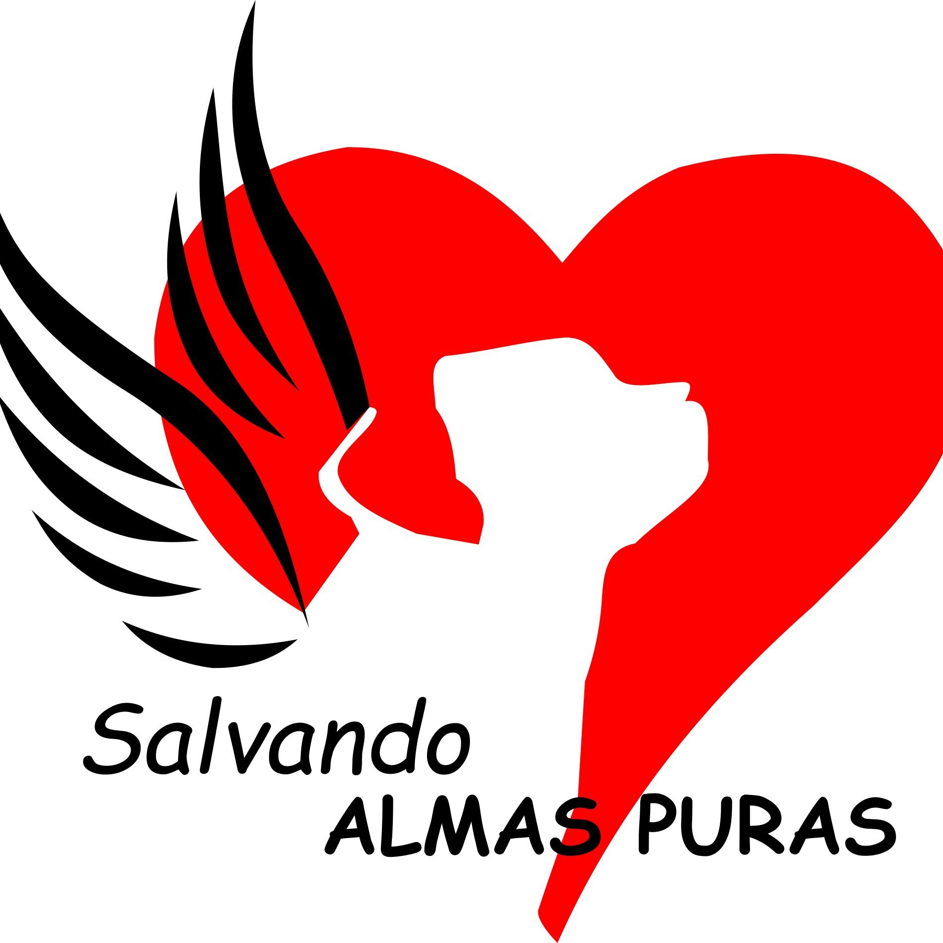 img principal ADOPTA Sitios Pet Friendly