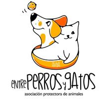 img principal ADOPTA Sitios Pet Friendly