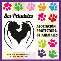 img principal ADOPTA Sitios Pet Friendly