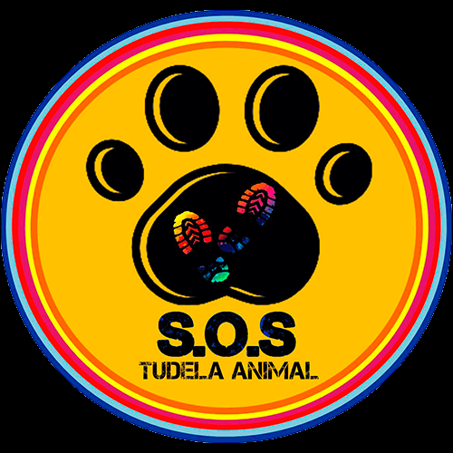 img principal ADOPTA Sitios Pet Friendly