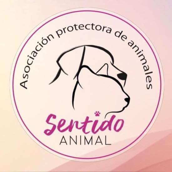 img principal ADOPTA Sitios Pet Friendly