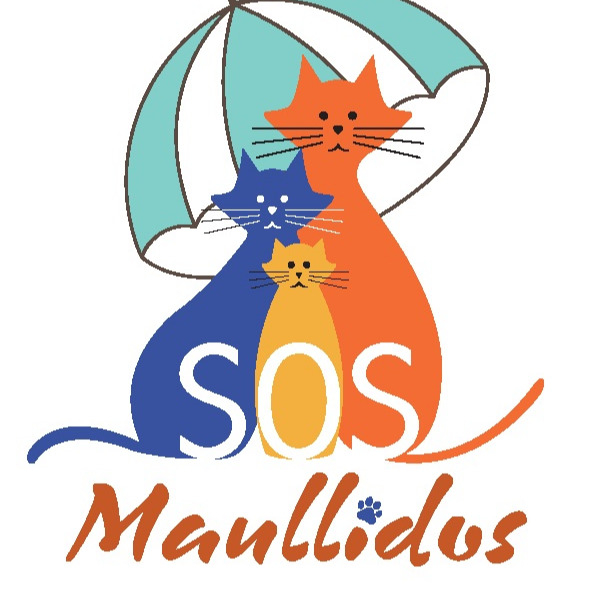 img principal ADOPTA Sitios Pet Friendly