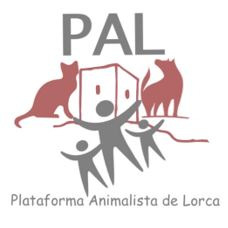 img principal ADOPTA Sitios Pet Friendly