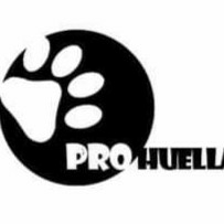 img principal ADOPTA Sitios Pet Friendly