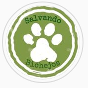 img principal ADOPTA Sitios Pet Friendly