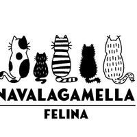 img principal ADOPTA Sitios Pet Friendly