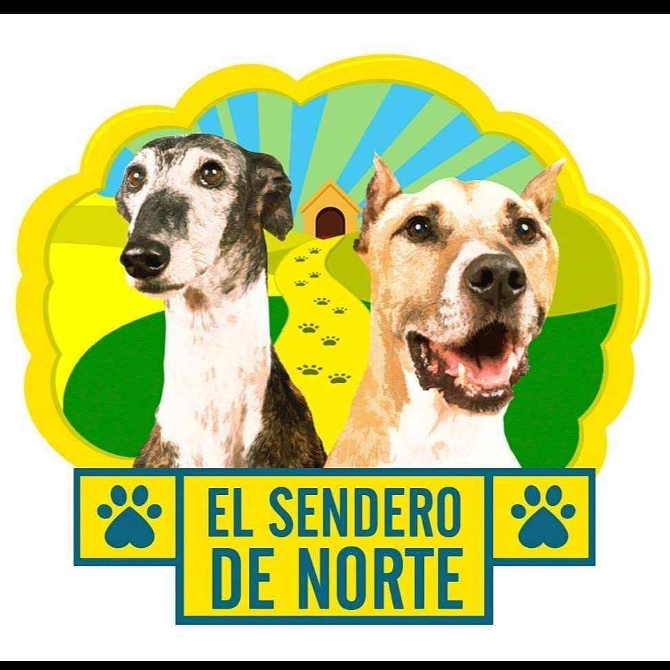 img principal ADOPTA Sitios Pet Friendly