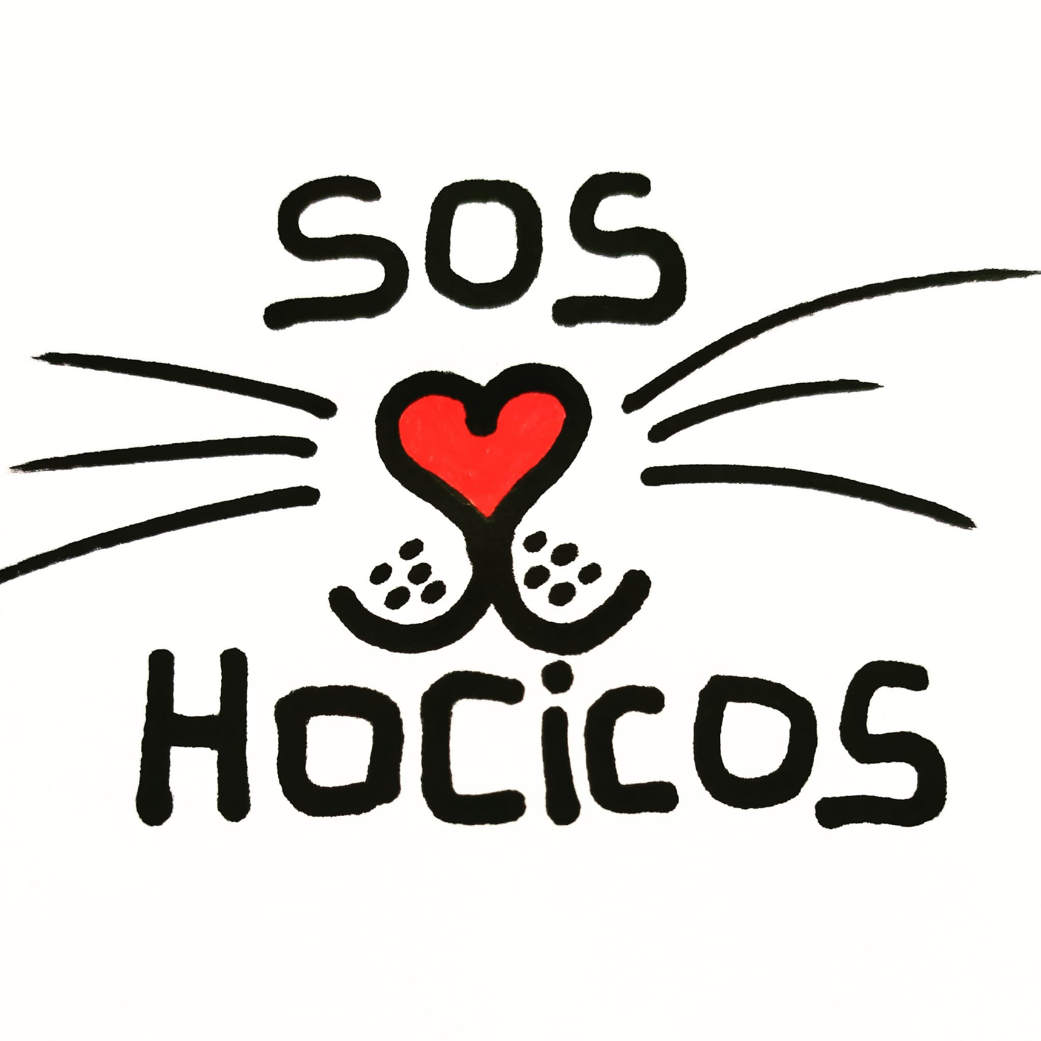 img principal ADOPTA Sitios Pet Friendly