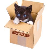 img principal ADOPTA Sitios Pet Friendly