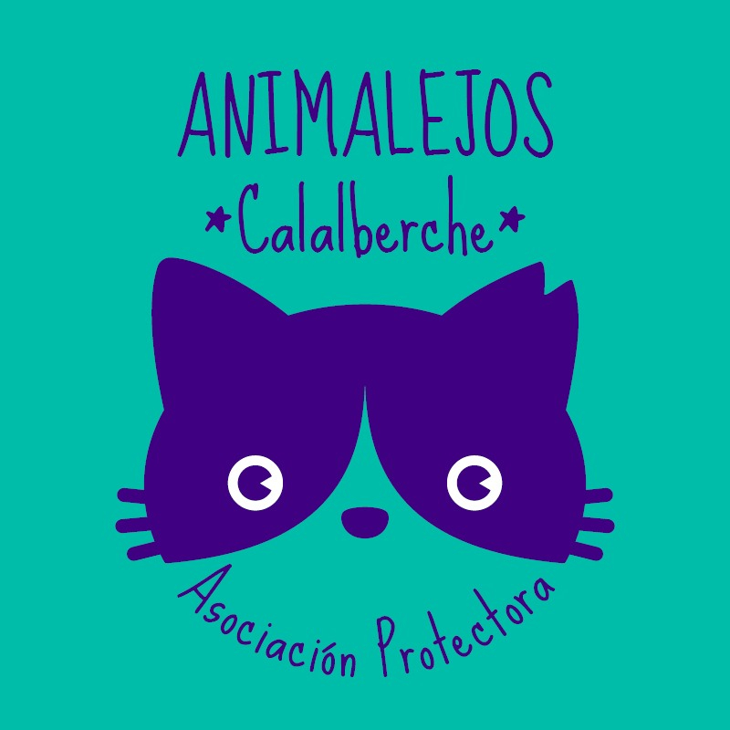 img principal ADOPTA Sitios Pet Friendly
