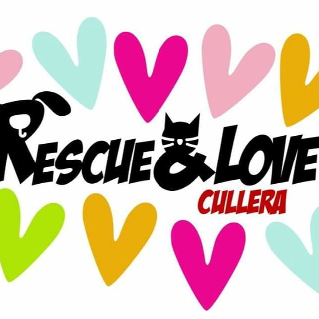 img principal ADOPTA Sitios Pet Friendly