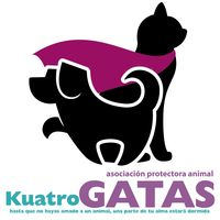 img principal ADOPTA Sitios Pet Friendly
