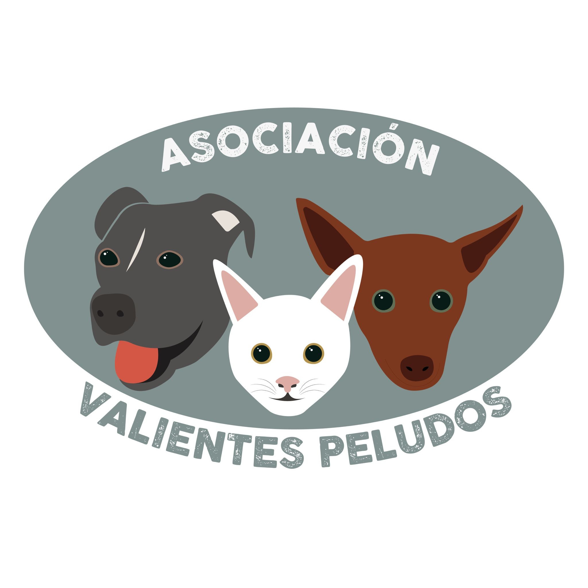 img principal ADOPTA Sitios Pet Friendly