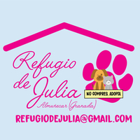 img principal ADOPTA Sitios Pet Friendly