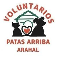 img principal ADOPTA Sitios Pet Friendly