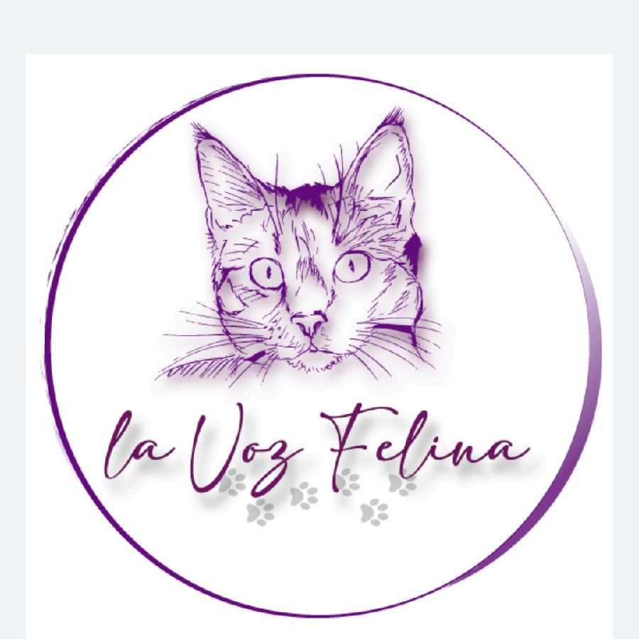 La Voz Felina de Catarroja Asociación de animales en Catarroja, Valencia ADOPTA Sitios Pet Friendly