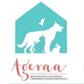 img principal ADOPTA Sitios Pet Friendly
