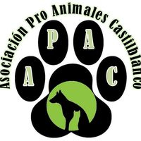 img principal ADOPTA Sitios Pet Friendly