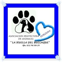 img principal ADOPTA Sitios Pet Friendly