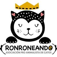 img principal ADOPTA Sitios Pet Friendly