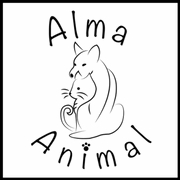 img principal ADOPTA Sitios Pet Friendly