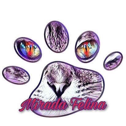 img principal ADOPTA Sitios Pet Friendly