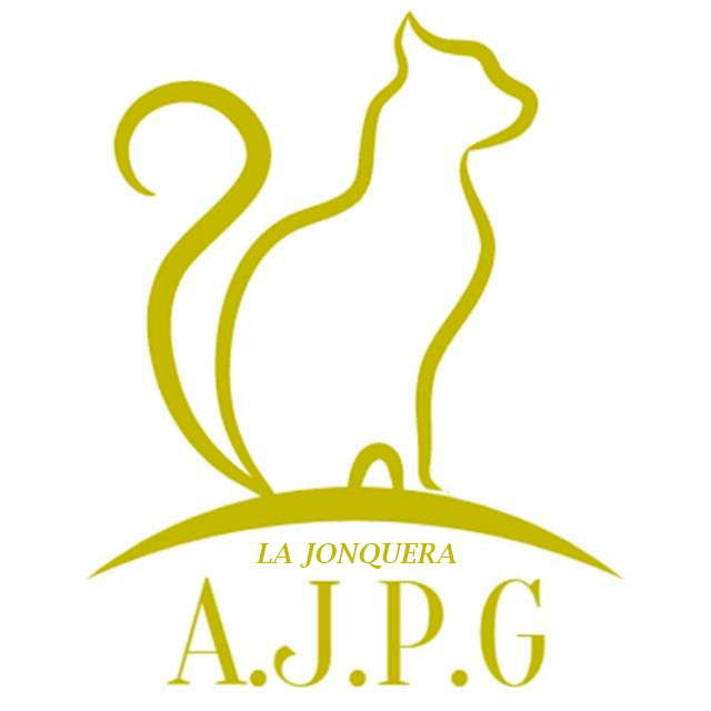 img principal ADOPTA Sitios Pet Friendly