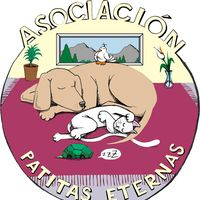 img principal ADOPTA Sitios Pet Friendly