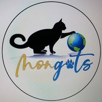 img principal ADOPTA Sitios Pet Friendly