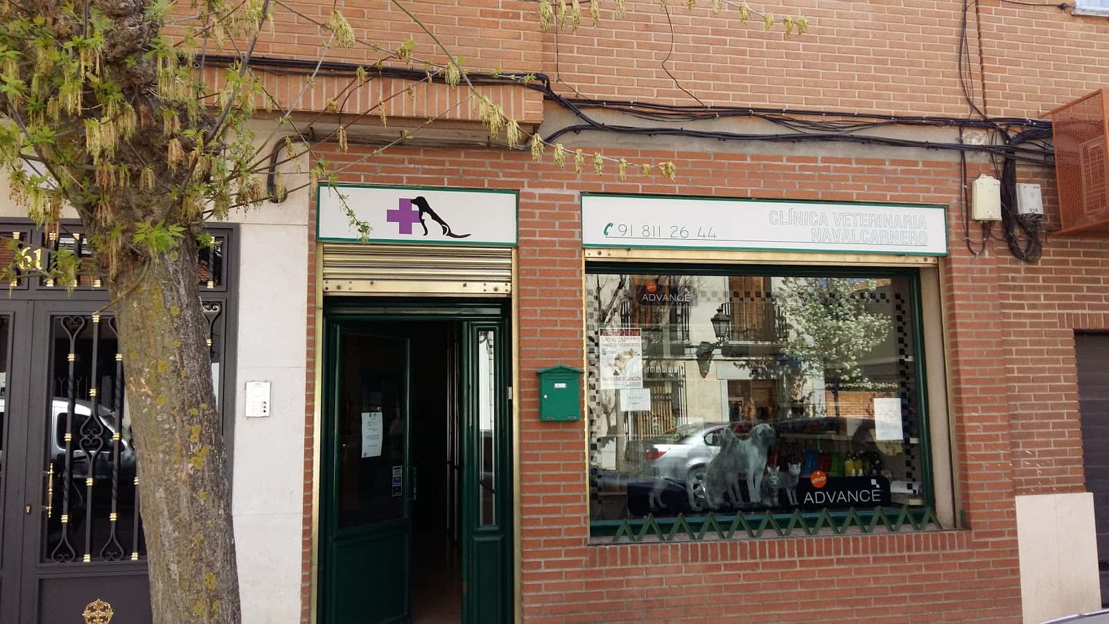 clinica veterinaria navalcarnero veterinario clinica en navalcarnero en madrid principalImage ADOPTA Sitios Pet Friendly