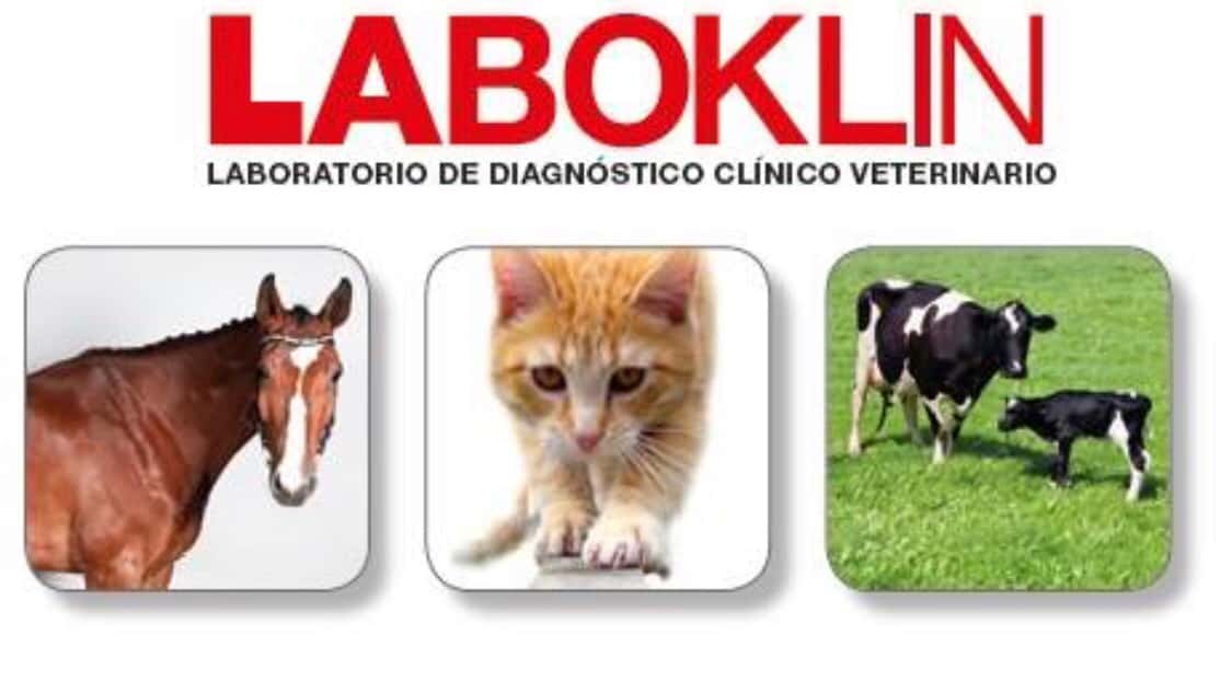 laboklin espana veterinario centro en alcobendas en madrid principalImage ADOPTA Sitios Pet Friendly