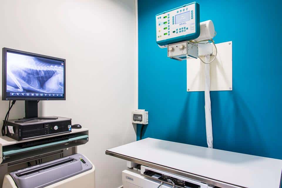 Centro Veterinario Iteca