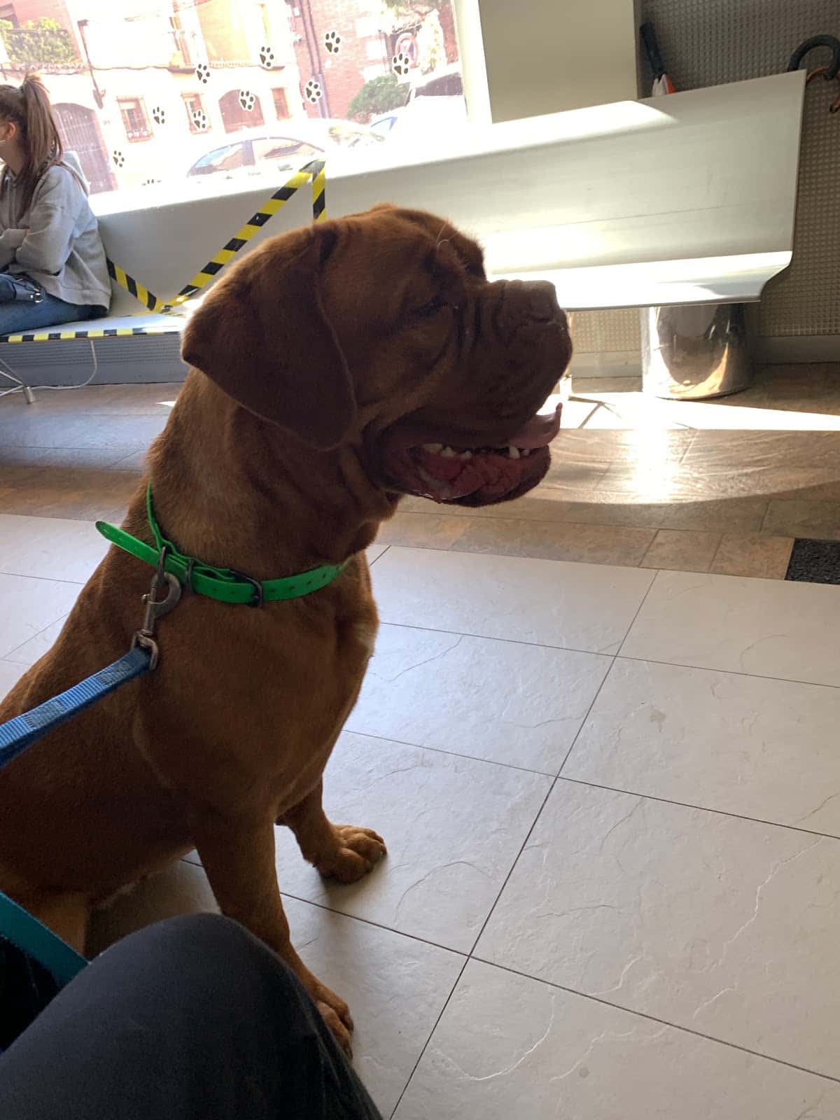 Clínica Veterinaria Alcalá