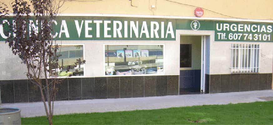 clinica veterinaria alcobendas veterinario clinica en alcobendas en madrid principalImage ADOPTA Sitios Pet Friendly