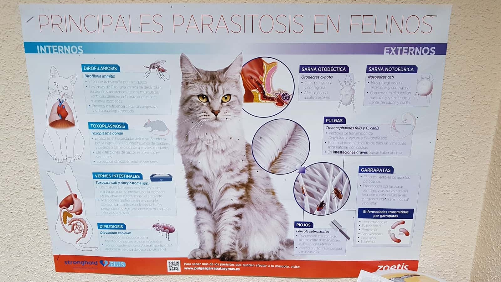 Alcobendas Clínica Veterinaria