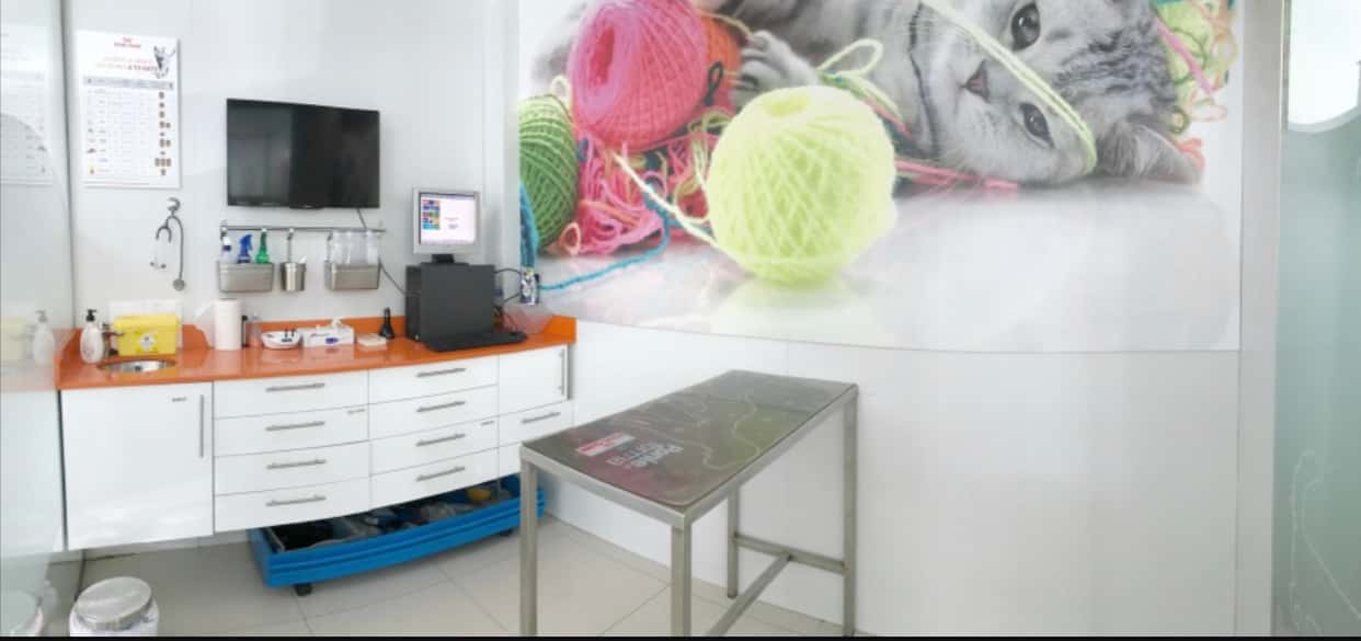 Hospital Veterinario Alcor