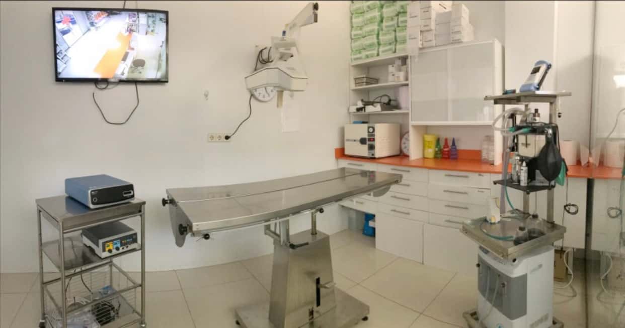 Hospital Veterinario Alcor