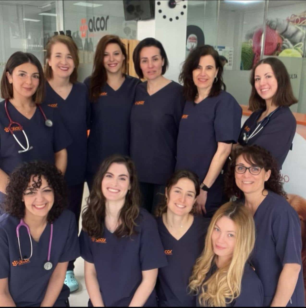 hospital veterinario alcor veterinario hospital en alcala de henares en madrid principalImage ADOPTA Sitios Pet Friendly