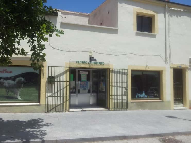 clinica veterinaria serbal veterinario clinica en navalcarnero en madrid principalImage ADOPTA Sitios Pet Friendly