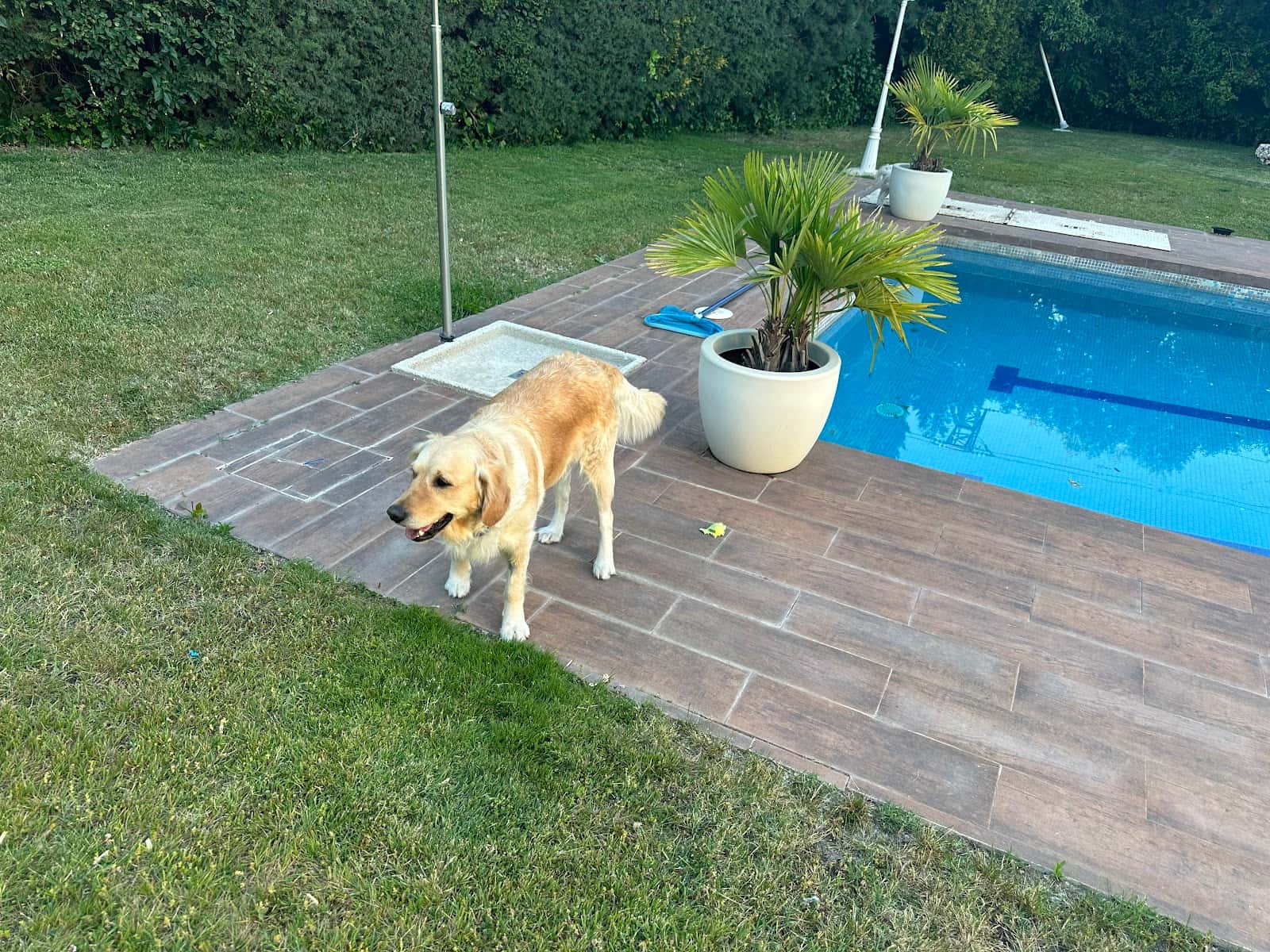 Hospital Veterinario La Moraleja (Grupo Peñagrande)