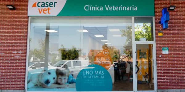 clinica veterinaria caservet arroyomolinos veterinario clinica en arroyomolinos en madrid principalImage ADOPTA Sitios Pet Friendly