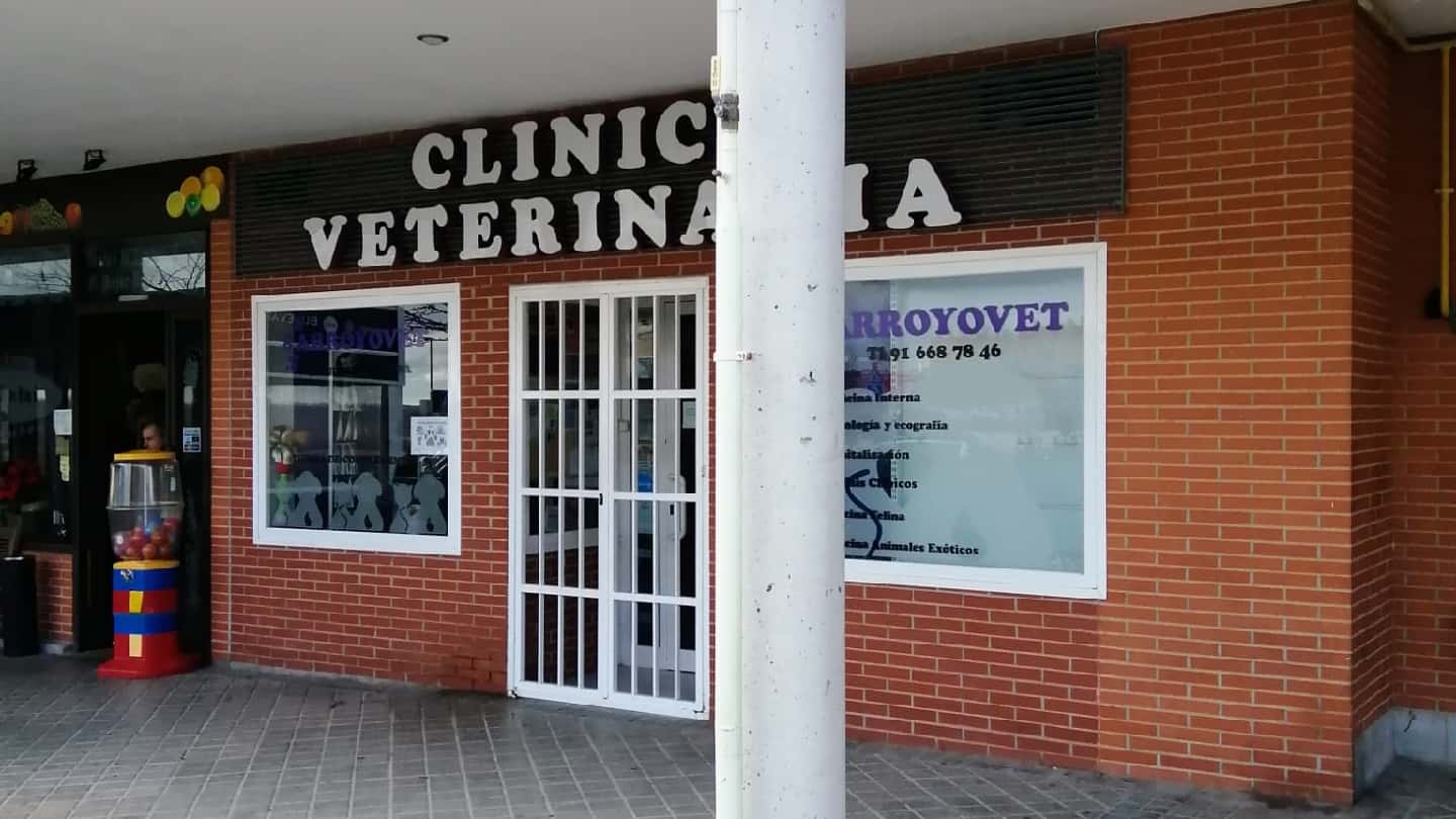 arroyovet veterinario centro en arroyomolinos en madrid principalImage ADOPTA Sitios Pet Friendly